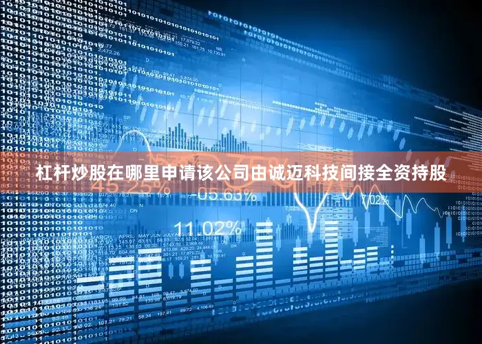 杠杆炒股在哪里申请该公司由诚迈科技间接全资持股