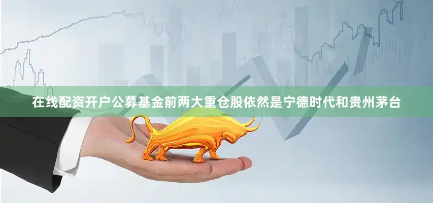 在线配资开户公募基金前两大重仓股依然是宁德时代和贵州茅台