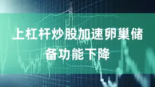 上杠杆炒股加速卵巢储备功能下降