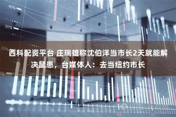 西科配资平台 庄瑞雄称沈伯洋当市长2天就能解决鼠患，台媒体人：去当纽约市长